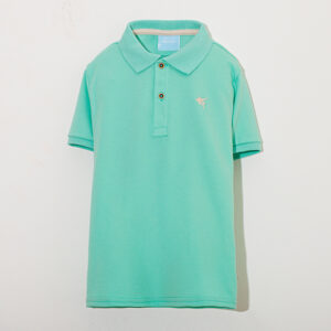 TIPO POLO BASICA NINO