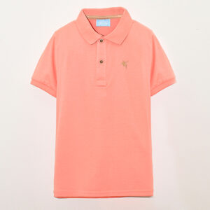 TIPO POLO BASICA NINO